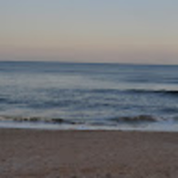 Meet your Posher, Carol - Picture 1 of 1